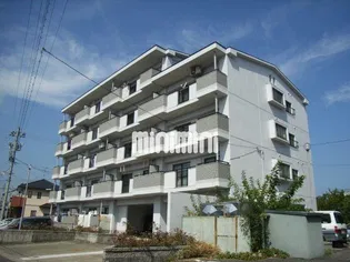 木賀第2杉本ビルの画像