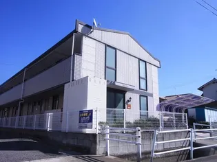 パルフィオーレFの画像