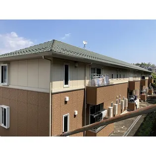 コート マウンテンBの画像