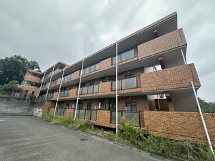 コートグレイスエクセレントの画像