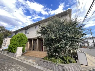 プレアデスの画像