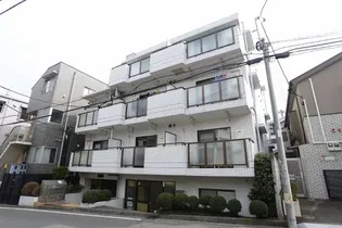 プルメリア中丸の画像