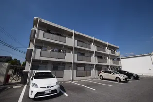 URBAN FOREST Tの画像