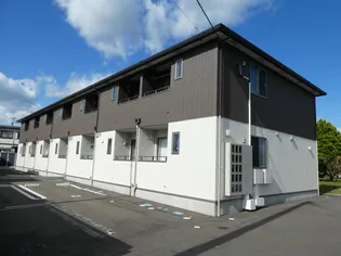 XINAN HANDENの画像