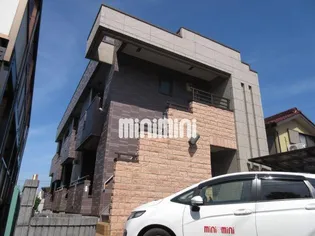 ヴェナスアミーゴスの画像