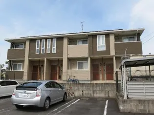 プリムローズの画像