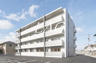 コンフォールの画像