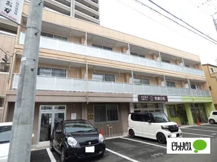 コスモ33の画像