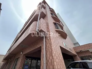 宮城県仙台市宮城野区宮城野1【マンション】の外観