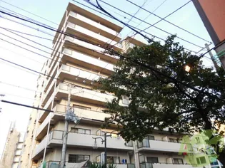 パシフィック神戸桜筋北館【2階】の外観