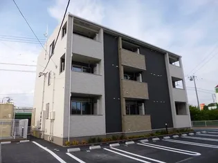 サクラの画像