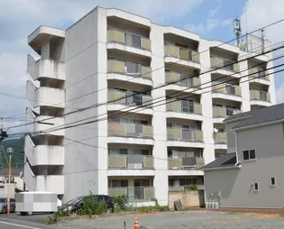 シェンベルクの画像