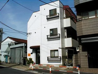 大室ハイツ【3階】の外観