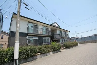 モンアミの画像