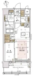 グラサージュ横濱桜木町フィオーレシエル【7階】の間取り