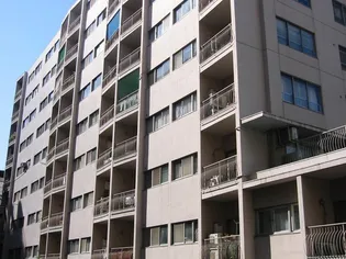 ドミール五番町【11階】の外観