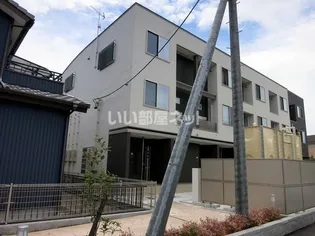 ツリージェイKKRの画像