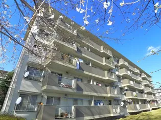 小金原団地11号棟の画像