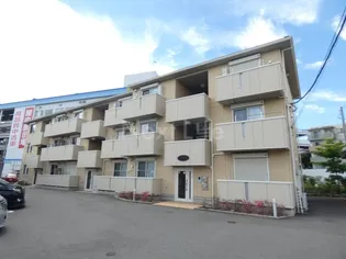 アンバサルの画像