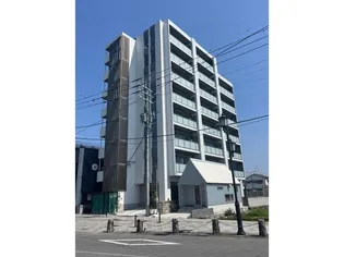 SANSEVIERIA参道の画像