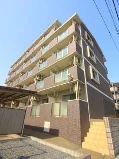 レジーナの画像