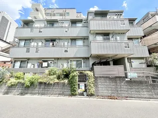 ソフィア ルミエールの画像