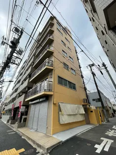 コウキビルの画像