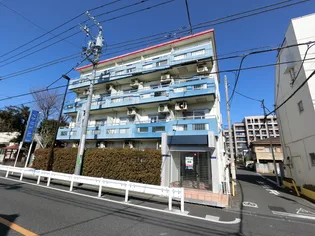 ドルフ アイの画像