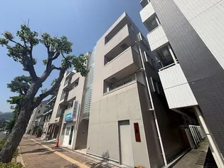 カサリナ7の画像
