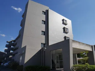 サン ヴィーゼT Mの画像