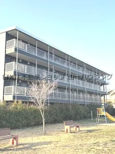 メルシー春野の画像