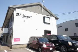 ヴェルヴェット21の画像