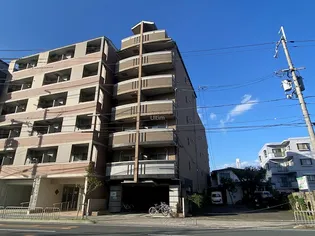 京都府京都市右京区西京極南大入町【マンション】の外観