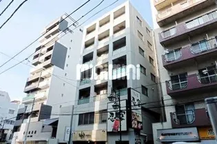 ラ セネシオの画像