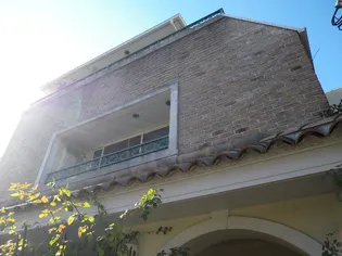 グランブルーアオキの画像