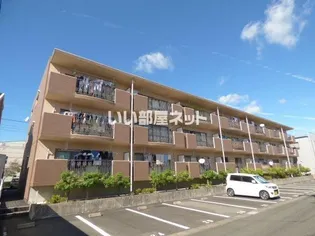 ミレーニアの画像