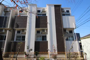 ステラコートの画像