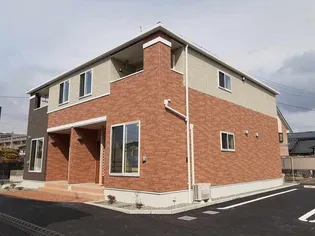 アガパンサスの画像