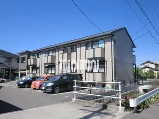 アベリヤの画像