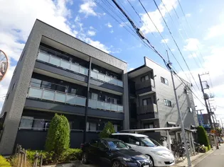 ルピナスの画像