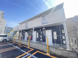 クリプトメリアの画像