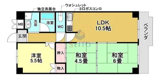 レクシア北条(旧 カーサ服部)【2階】の間取り