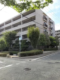 グランステイツ六甲の画像