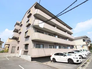 サンドエルの画像