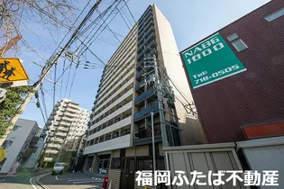 エンクレスト天神LIFE【5階】の外観