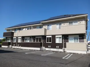 ポプルスBの画像