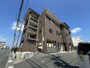 エーデルワイスIIの画像