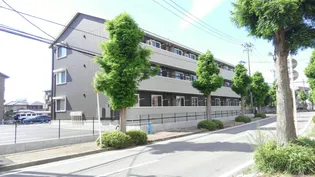 セブンワンテン Lの画像