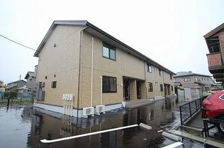 プレミアムコートの画像