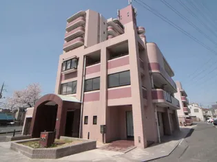 シャンテ辻亀の画像